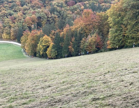 20251018_Altmühltrail_2025